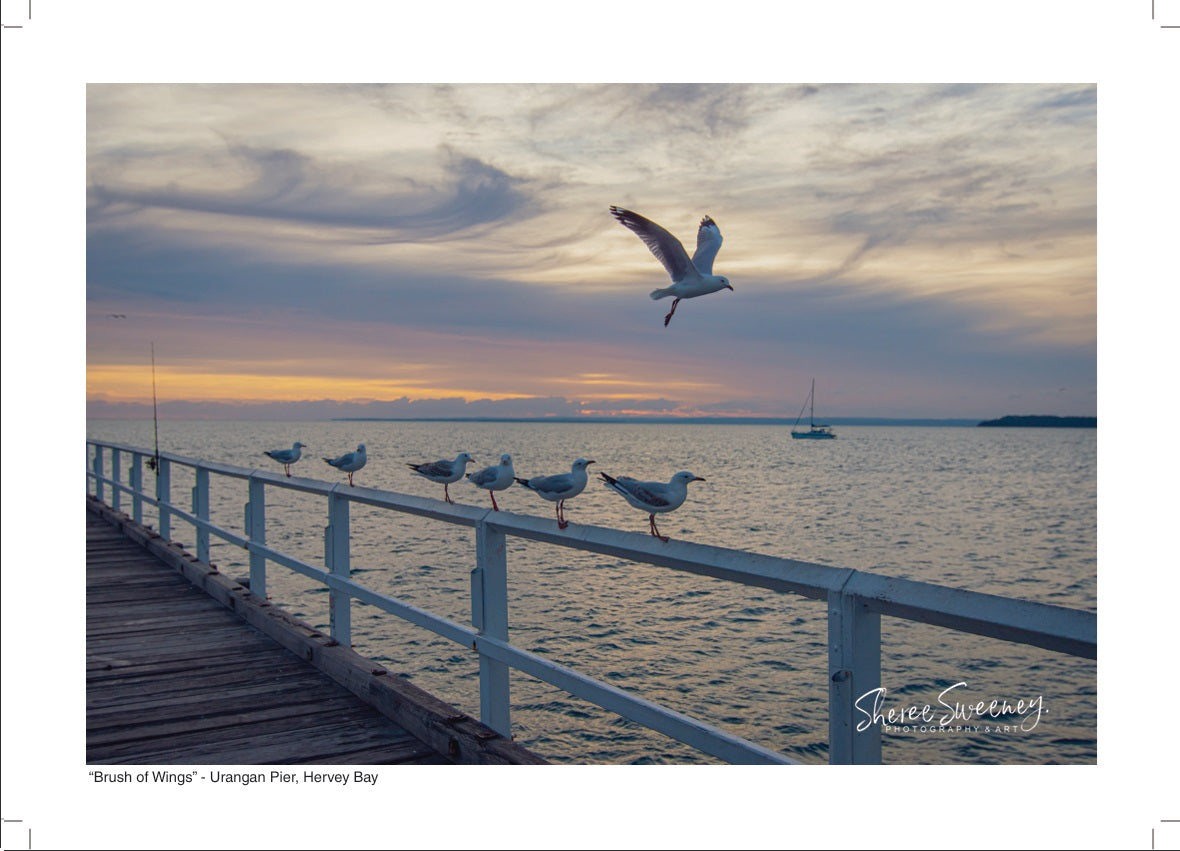 2025 HERVEY BAY PHOTOGRAPHIC CALENDAR