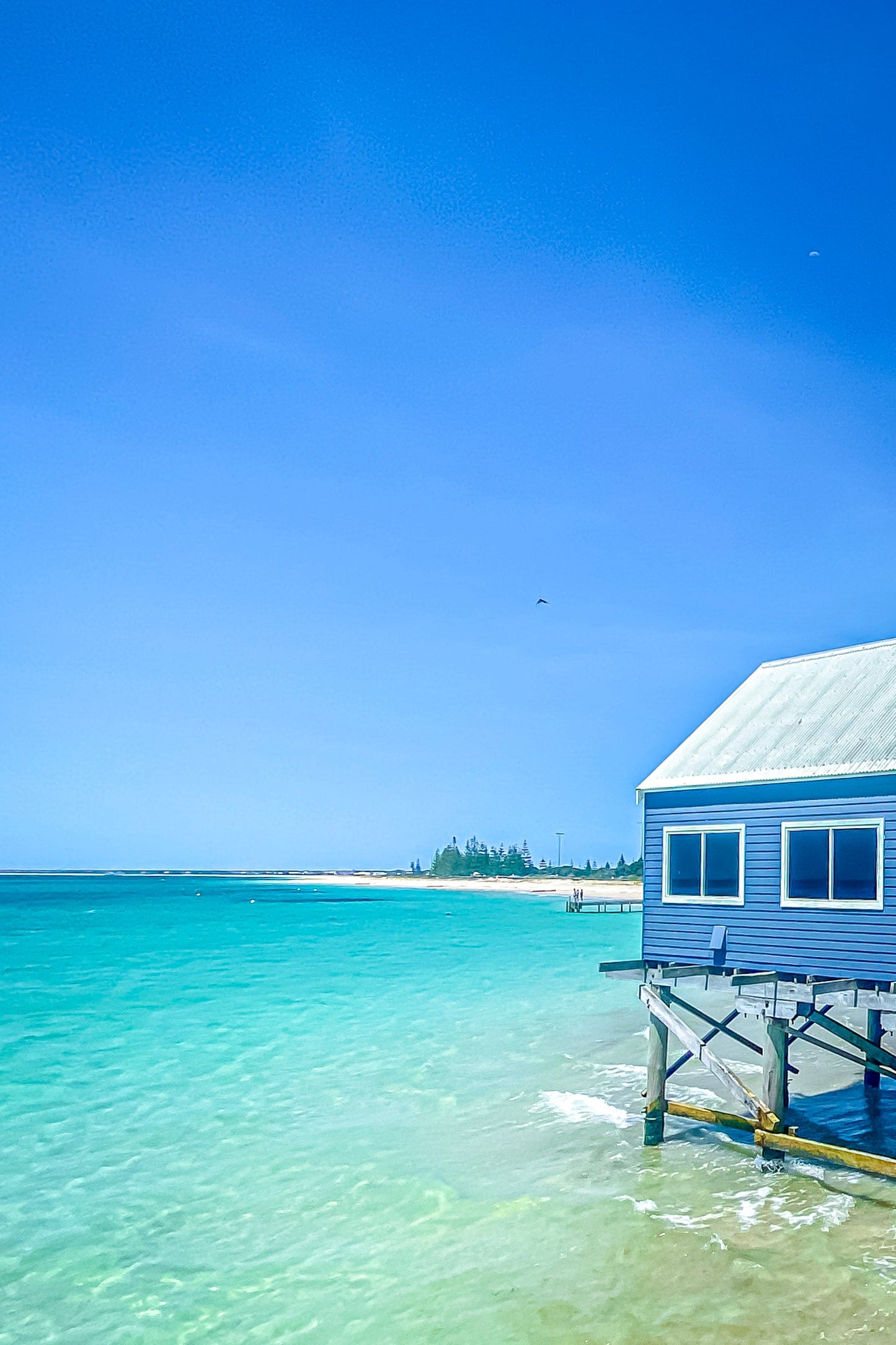 BUSSELTON BEACH 3