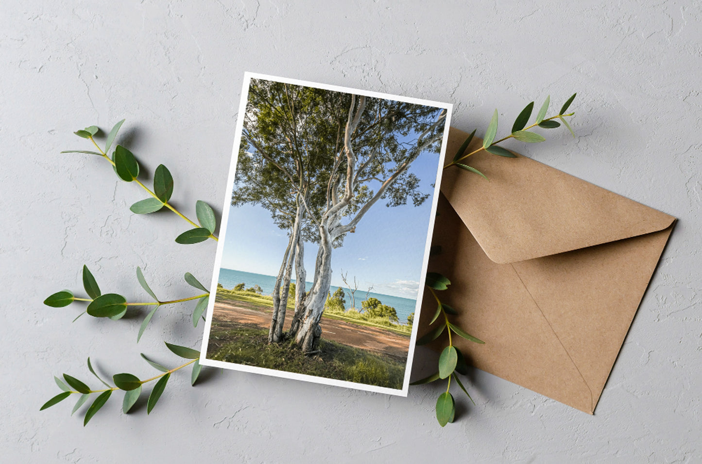 GUM TREES GREETING CARD