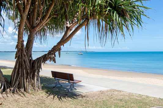 PANDANUS VIEW 1