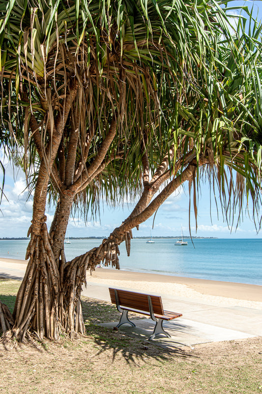 PANDANUS VIEW THROW