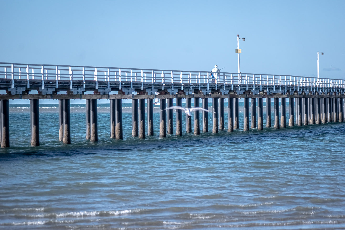 PIER LIFE