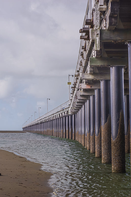 PIER IN WINTRY GREEN