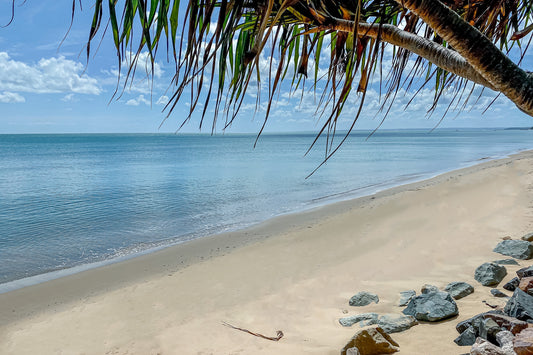 PANDANUS BRANCH