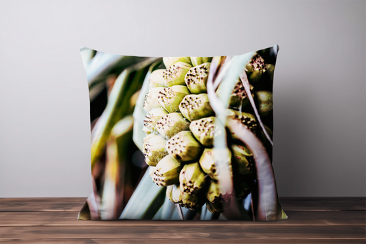 PANDANUS CUSHION